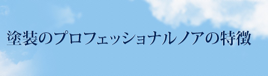 塗装のプロフェッショナル　ノアの特徴